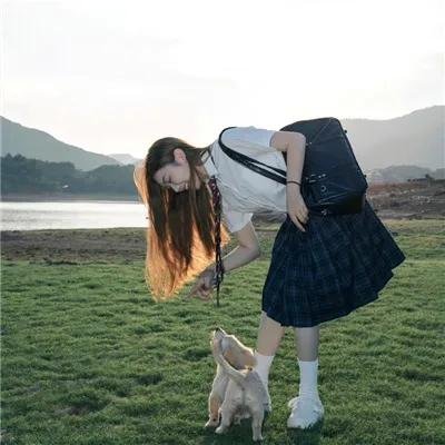 烟花女驼龙
