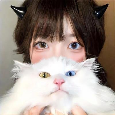 狐狸猎手